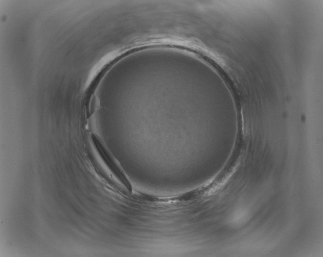 X0000070191501200606021044