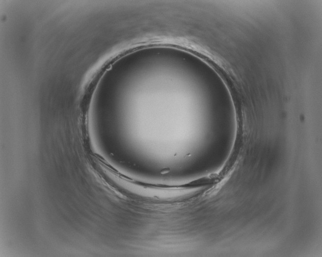 X0000070191502200606021044