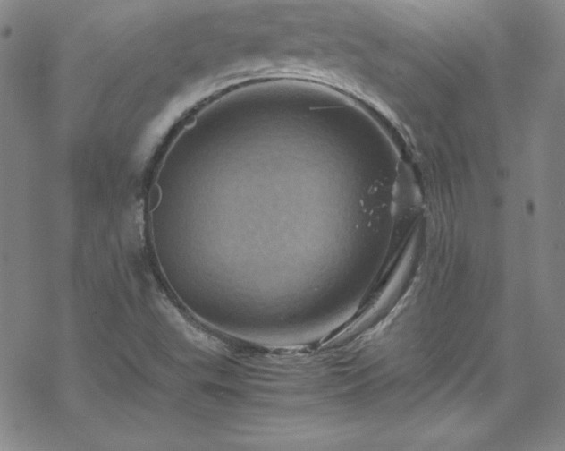 X0000070191503200606021044