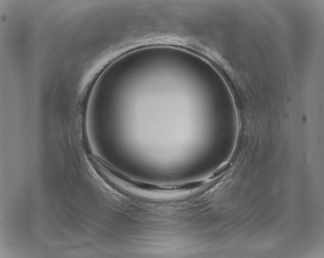 X0000070191504200606021044