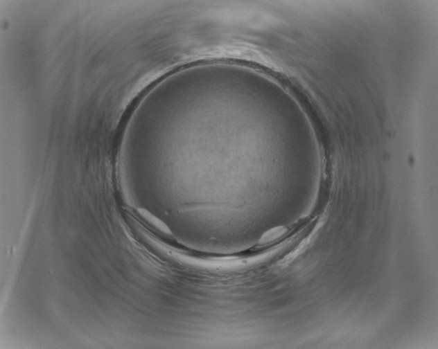 X0000070191505200606021044