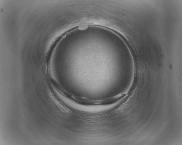 X0000070191507200606021044