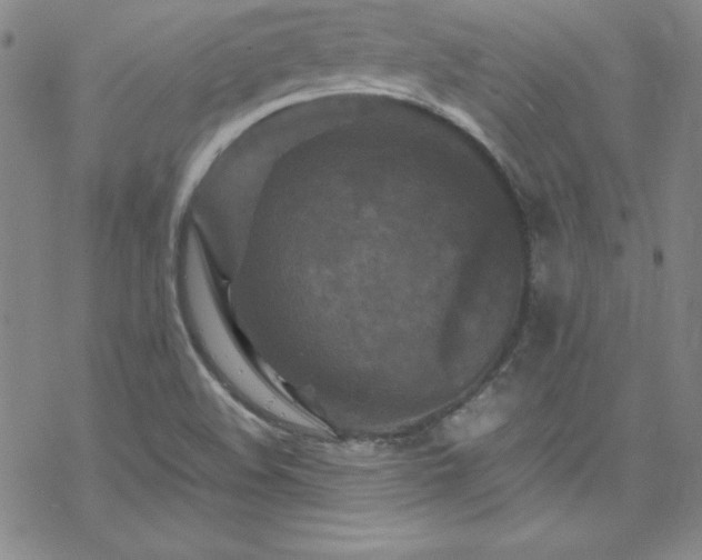 X0000070191508200606021044