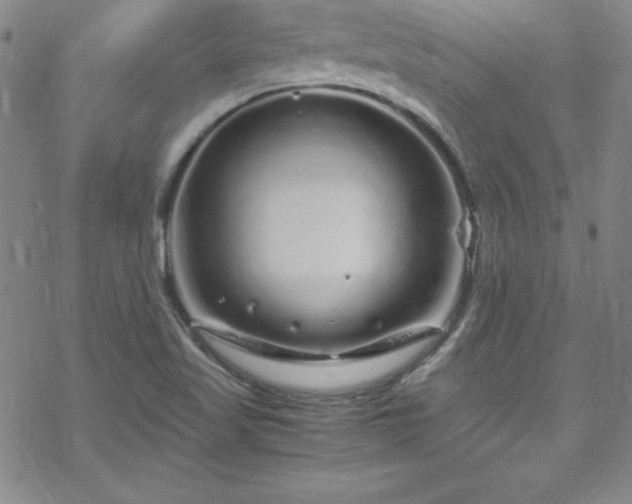 X0000070191509200606021044