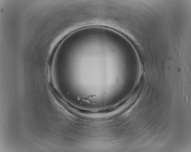 X0000070191510200606021044