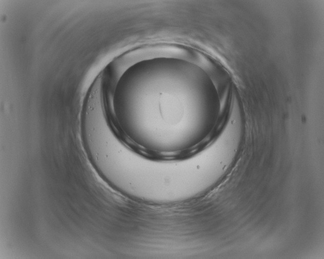 X0000070191512200606021044