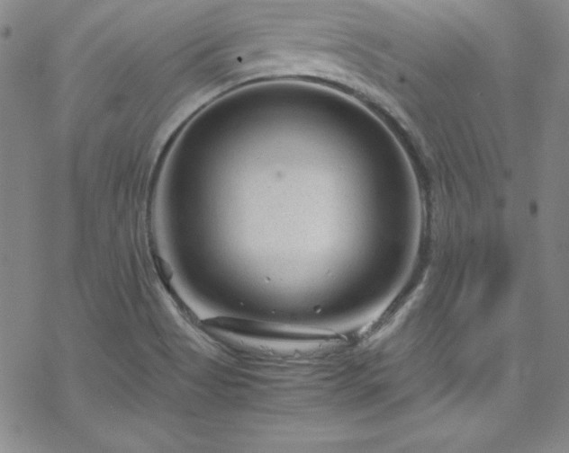 X0000070191513200606021044