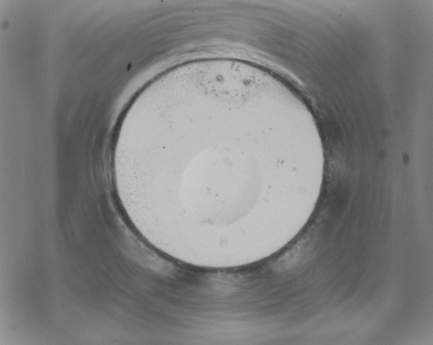 X0000070191514200606021044