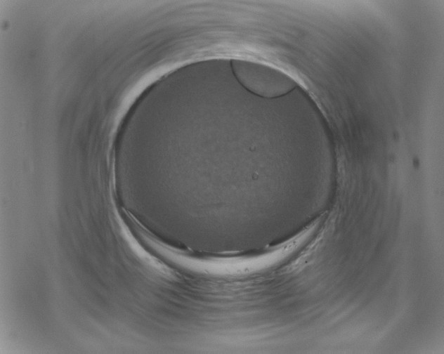 X0000070191515200606021044