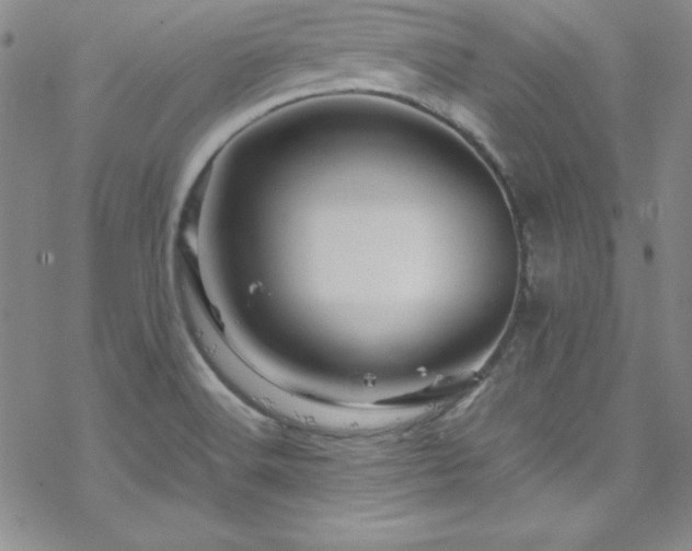 X0000070191516200606021044