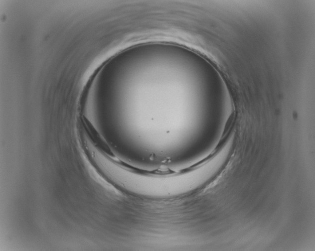 X0000070191518200606021044