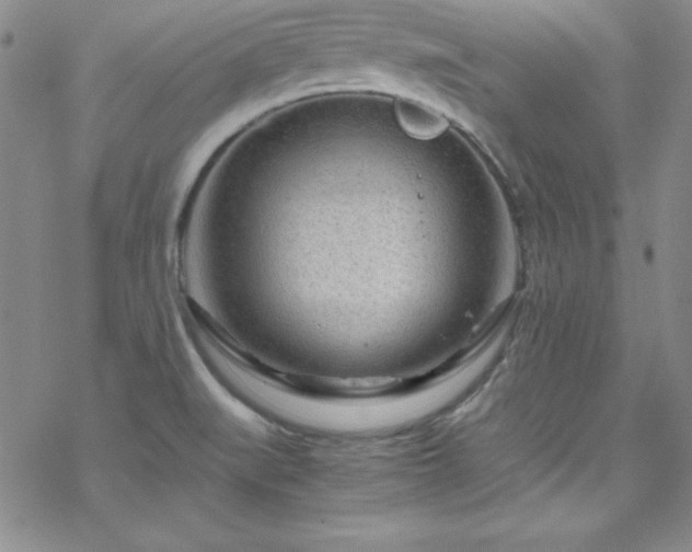 X0000070191519200606021044