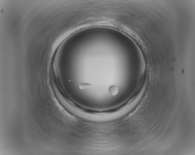 X0000070191520200606021044