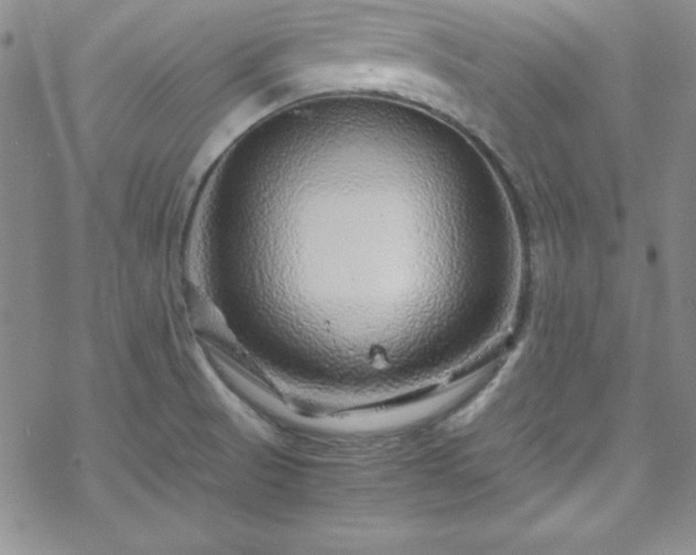 X0000070191521200606021044