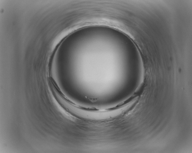 X0000070191523200606021044