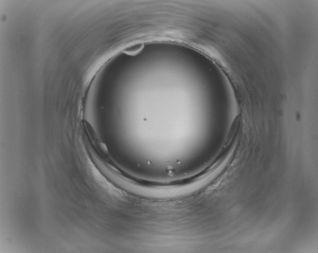 X0000070191524200606021044