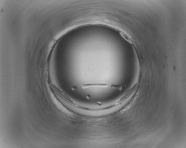 X0000070191526200606021044