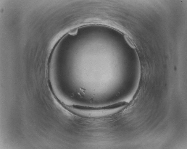 X0000070191527200606021045