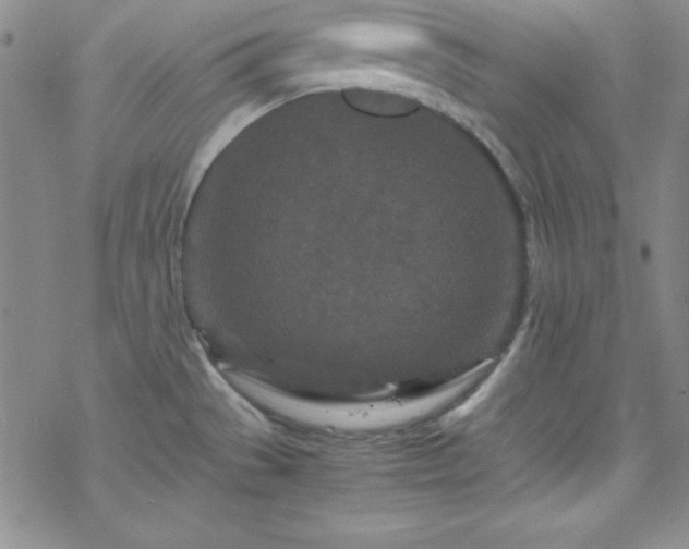 X0000070191529200606021045