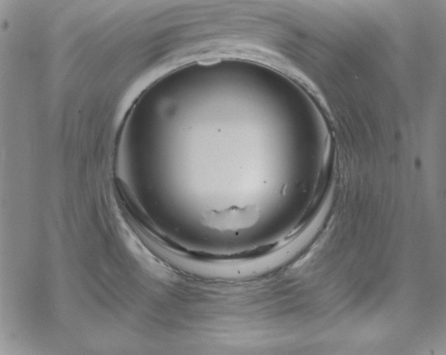 X0000070191530200606021045