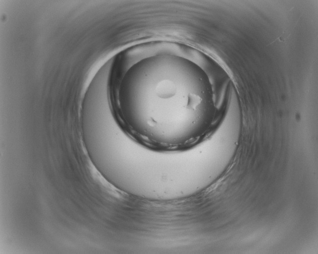 X0000070191532200606021045