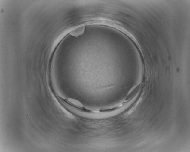 X0000070191533200606021045