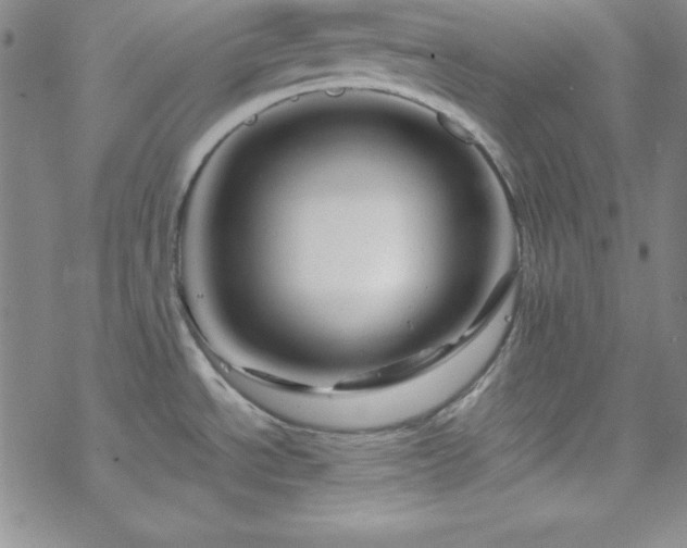 X0000070191534200606021045