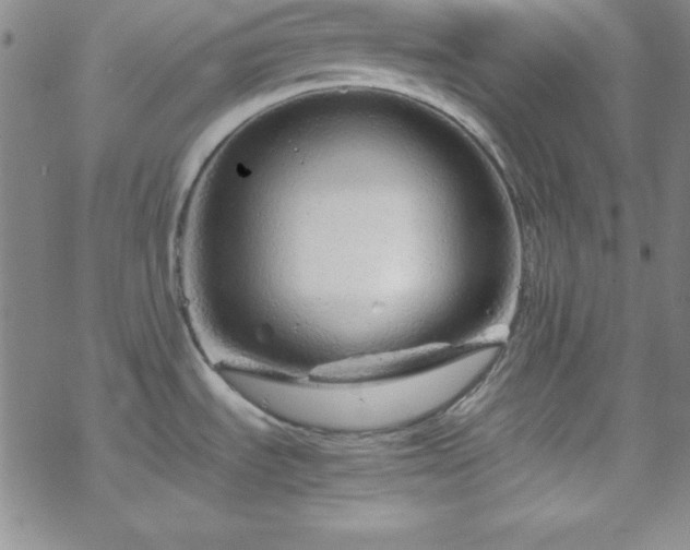 X0000070191535200606021045