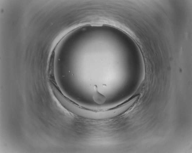 X0000070191536200606021045