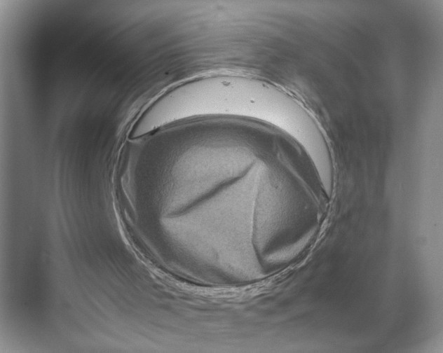 X0000070190001200606091544