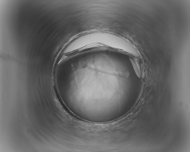 X0000070190002200606091544