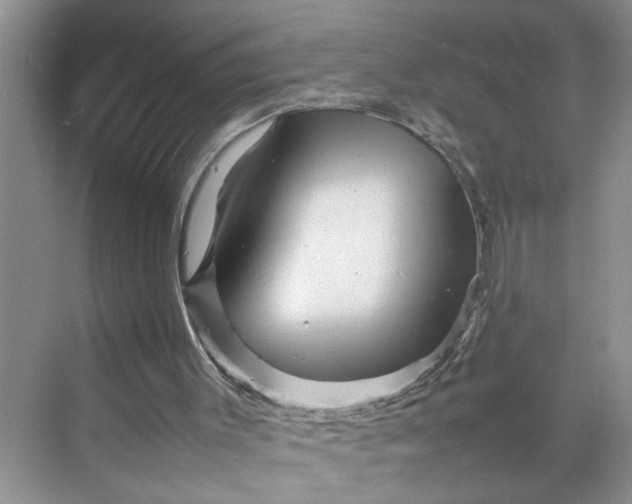 X0000070190003200606091544