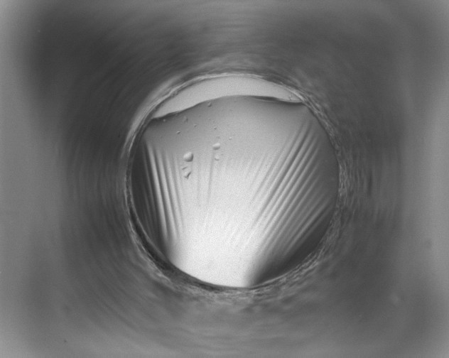 X0000070190004200606091544