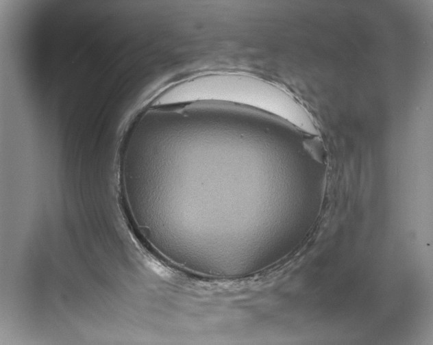 X0000070190005200606091544