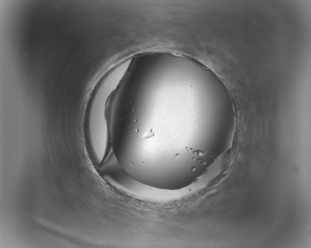 X0000070190007200606091544