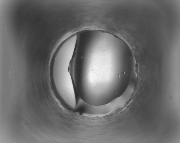 X0000070190008200606091544