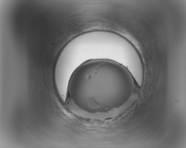 X0000070190009200606091544