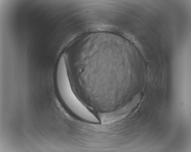 X0000070190010200606091544