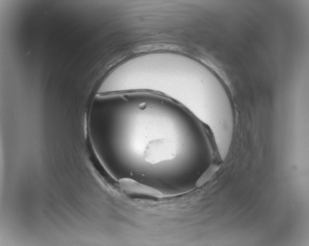 X0000070190013200606091544