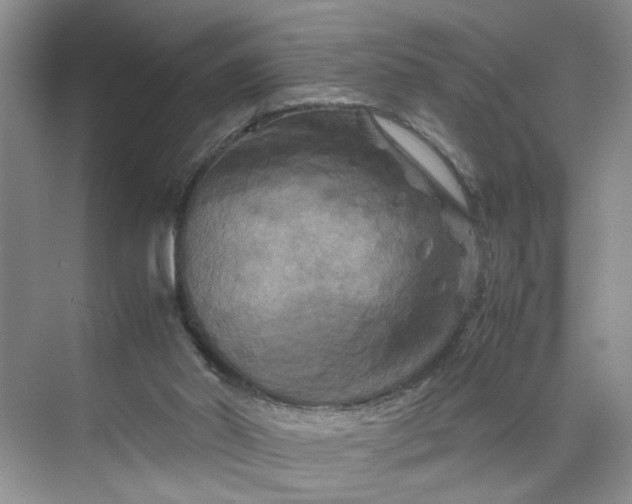 X0000070190014200606091544