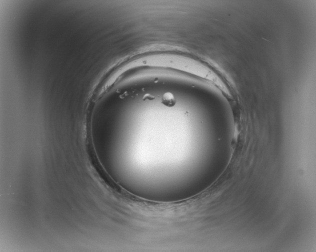 X0000070190015200606091544