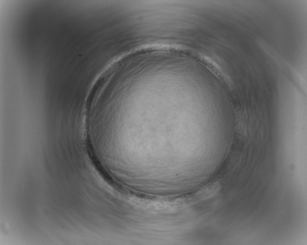 X0000070190016200606091544