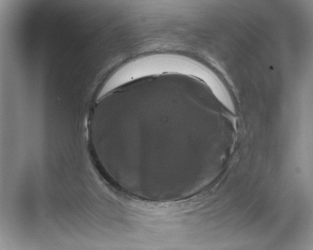 X0000070190019200606091544