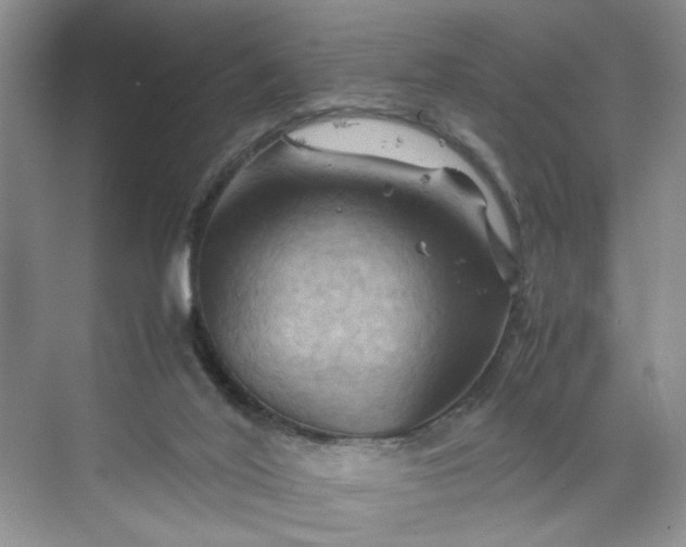 X0000070190020200606091544