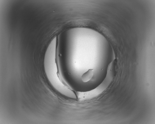 X0000070190021200606091544