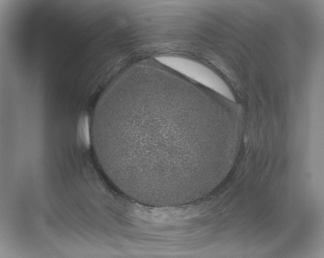 X0000070190022200606091544