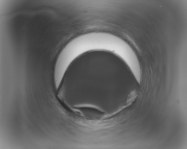 X0000070190023200606091544