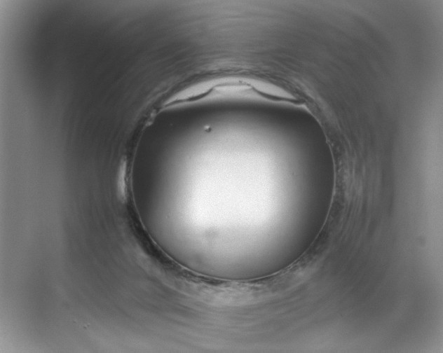 X0000070190024200606091544