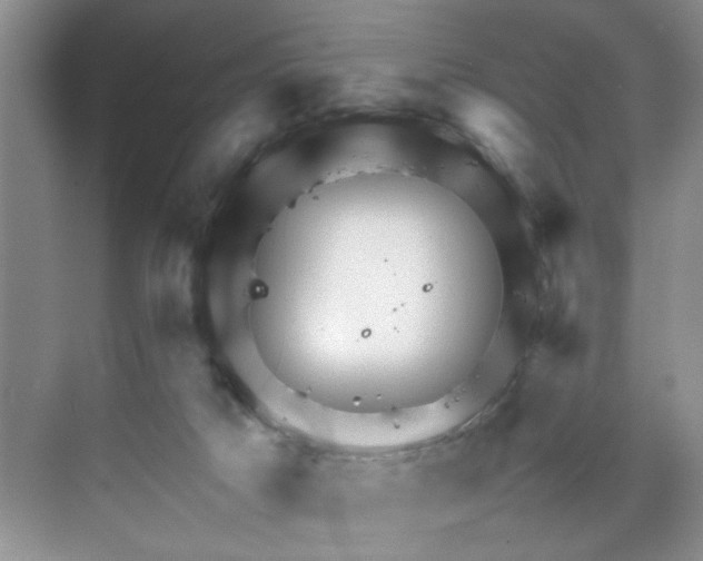 X0000070190025200606091544