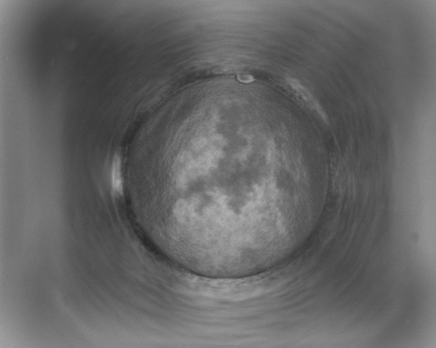 X0000070190026200606091544